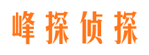 天等市婚外情调查